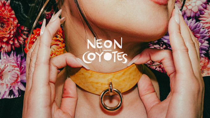 Neon Coyotes Releases 'Day Collection'