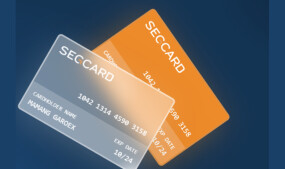 Segpay Launches Virtual 'Segcard' Creator Payout Solution