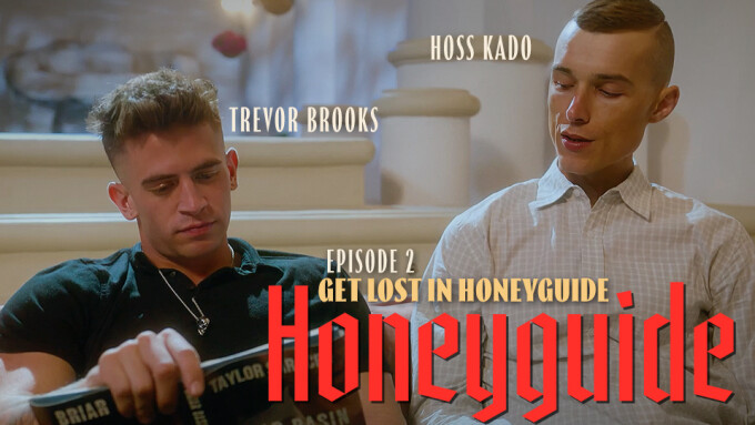 Disruptive Films Releases 2nd Installment of 'Honeyguide'