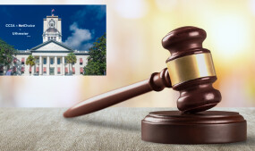 Federal Judge Grants Temporary Halt of Florida AV Law