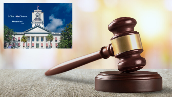 Federal Judge Grants Partial Halt of Florida AV Law