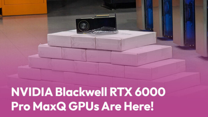 MojoHost Launches NVIDIA Blackwell GPU Hosting