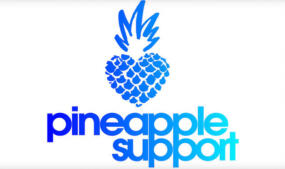 Pineapple Support Names Natalie Pereira Executive Assistant