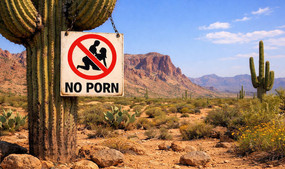 Arizona State Legislator Proposes Porn Ban