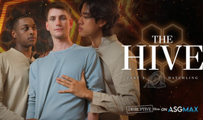 Trevor Harris, Jay Wu & Ty Santana Lead 2nd Installment of 'The Hive'
