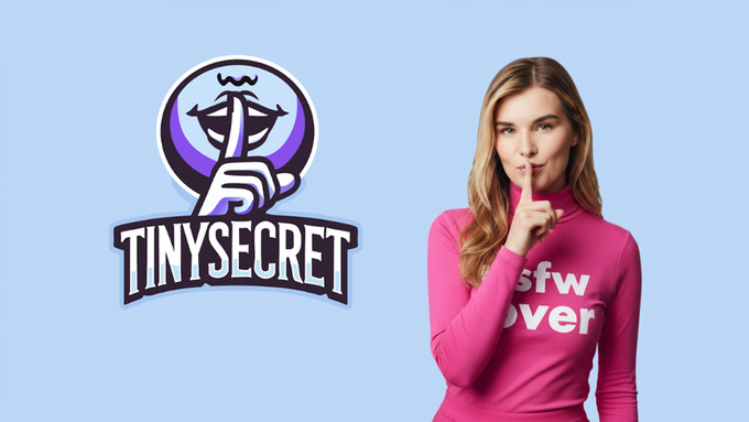 Tiny Secret Games Taps Pauline Schmiechen for Growth and Partnerships Advisor