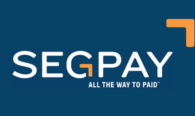 Segpay Parent Company Names David Press to Board