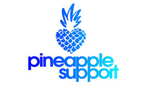 Pineapple Support to Host 'Effective Parenting' Support Group