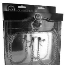 Coveted Collar and Clamp Union