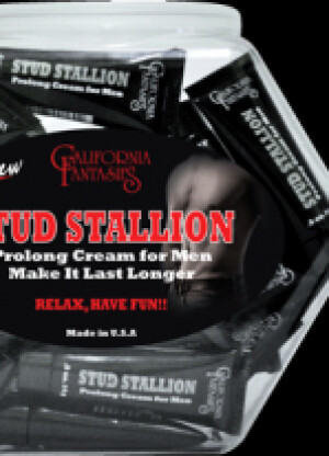 Stud Stallion