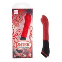 Tantric 10-Function Aura Massagers
