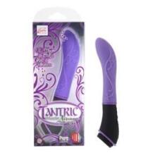 Tantric 10-Function Nirvana Massagers