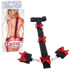 Tantric Binding Love Collar and Cuffs