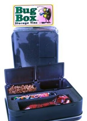 The Bug Box Ash-N-Stash