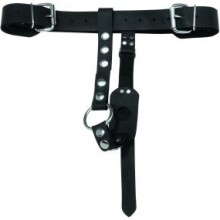 Plug & Cock Ring Harness