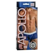 Apollo - Mesh Boxer With C-Ring - M/L