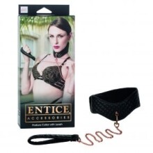 Entice Posture Collar with Leash