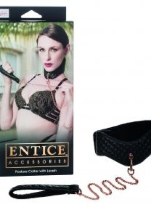 Entice Posture Collar with Leash