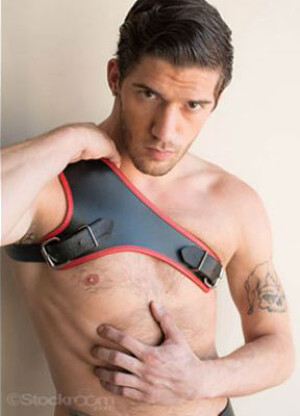 The Gladiator Harness w/ Contrasting Trim