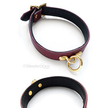 JT Signature Collection Collar