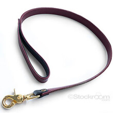 JT Signature Collection Leash