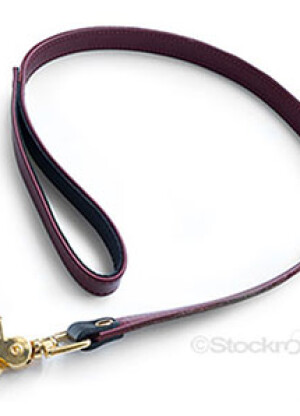 JT Signature Collection Leash