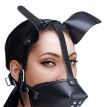 Master Series Pup Puppy Play Hood and Breathable Ball Gag