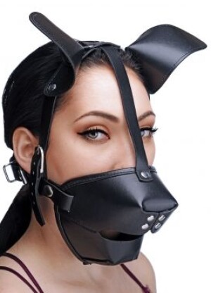 Master Series Pup Puppy Play Hood and Breathable Ball Gag