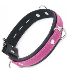 Joanna Angel Collar