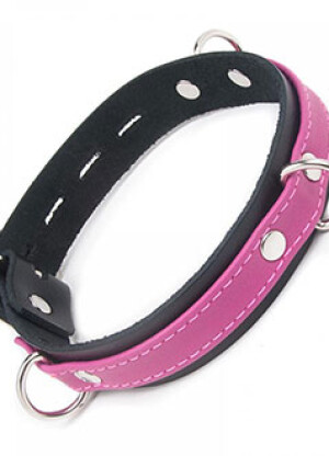 Joanna Angel Collar