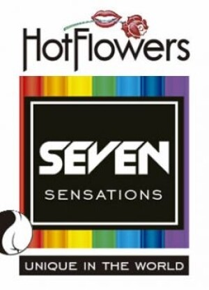 Seven Sensations