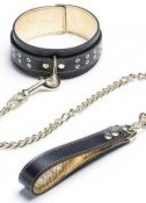 Ziggy Collar & Leash