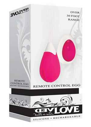Remote Control Egg