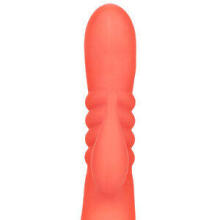 California Dreaming Orange County Cutie