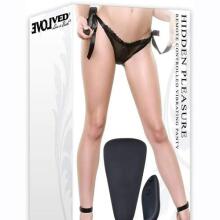 Hidden Pleasure Remote Controlled Vibrating Panty