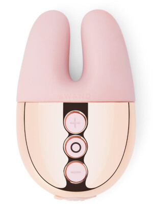 Le Wand Limited Edition Double Vibe