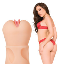 Zero Tolerance Sasha Grey 
