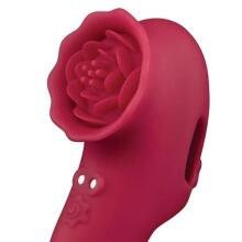 Rosegasm Playful Petal 