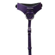 Punished Silver Chest Harness 