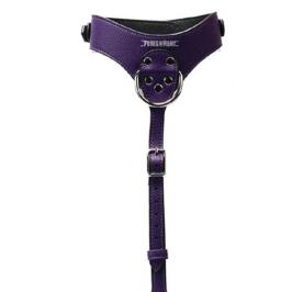 Punished Silver Chest Harness 