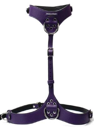 Punished Silver Chest Harness 