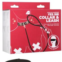 Punishment Rose Gold Yes Sir Collar & Leash 