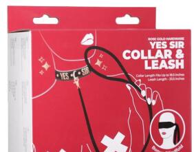 Punishment Rose Gold Yes Sir Collar & Leash 