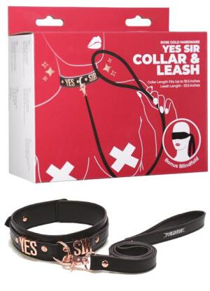 Punishment Rose Gold Yes Sir Collar & Leash 