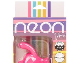 Neon Vibes The Kissing Bunny Vibe 