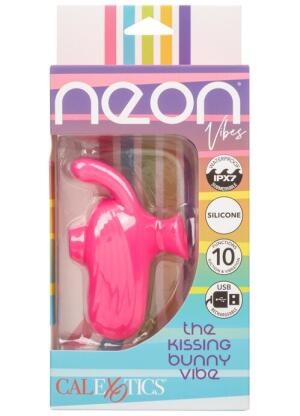 Neon Vibes The Kissing Bunny Vibe 