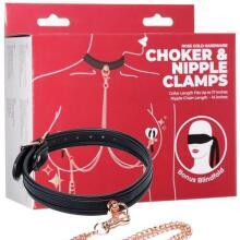 Punished Rose Gold Choker and Nipple Clamps 
