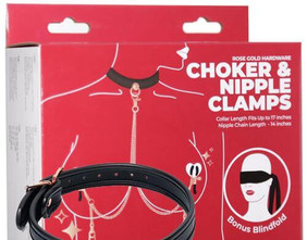Punished Rose Gold Choker and Nipple Clamps 