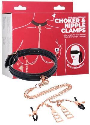 Punished Rose Gold Choker and Nipple Clamps 