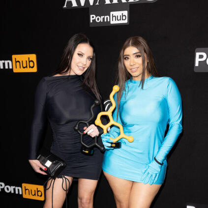 Pornhub Awards Party